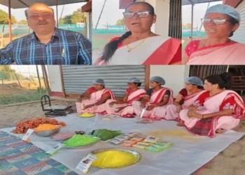 खूंटी जिले में लघु वनोपज से बढ़ रही ग्रामीण अर्थव्यवस्था, आदिवासी महिलाओं को मिल रहा नया रोजगार