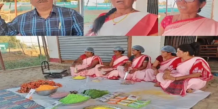 खूंटी जिले में लघु वनोपज से बढ़ रही ग्रामीण अर्थव्यवस्था, आदिवासी महिलाओं को मिल रहा नया रोजगार