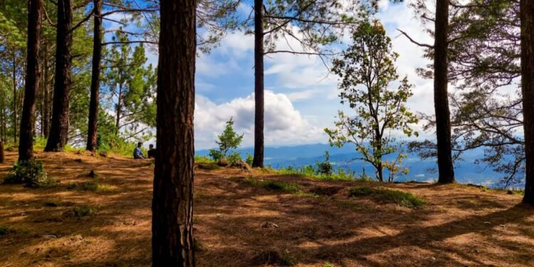 गुमला जिले में पर्यटन और प्राकृतिक स्थलों के विकास की पहल तेज, नेतरहाट और आसपास के क्षेत्र बन सकते हैं नए आकर्षण केंद्र