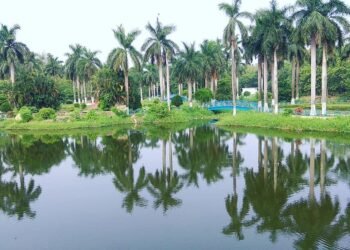 बोकारो झील और हरित पार्कों के कारण शहर में बढ़ रहा स्थानीय पर्यटन, लोगों को मिल रहा स्वच्छ और शांत वातावरण