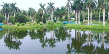 बोकारो झील और हरित पार्कों के कारण शहर में बढ़ रहा स्थानीय पर्यटन, लोगों को मिल रहा स्वच्छ और शांत वातावरण