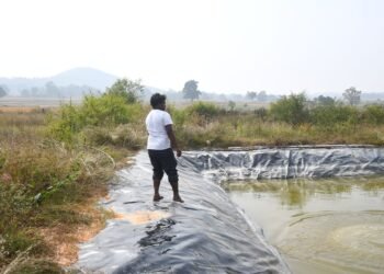 गढ़वा जिले में बढ़ती जल संकट की समस्या को दूर करने के लिए शुरू हुई नई जल संरक्षण योजनाएं, ग्रामीण क्षेत्रों में बन रहे तालाब और चेक डैम