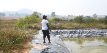 गढ़वा जिले में बढ़ती जल संकट की समस्या को दूर करने के लिए शुरू हुई नई जल संरक्षण योजनाएं, ग्रामीण क्षेत्रों में बन रहे तालाब और चेक डैम