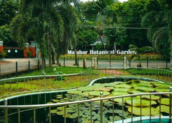 भारत के प्रमुख हॉटस्पॉट पर्यटन स्थलों पर बढ़ी पर्यटकों की संख्या, प्राकृतिक सुंदरता और एडवेंचर गतिविधियां बन रही आकर्षण का केंद्र