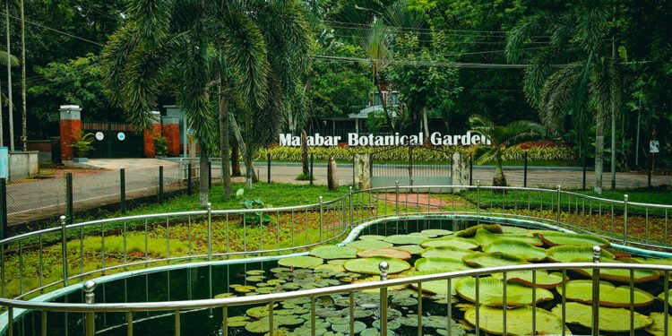 भारत के प्रमुख हॉटस्पॉट पर्यटन स्थलों पर बढ़ी पर्यटकों की संख्या, प्राकृतिक सुंदरता और एडवेंचर गतिविधियां बन रही आकर्षण का केंद्र